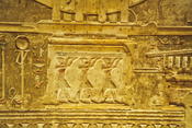Foto 41